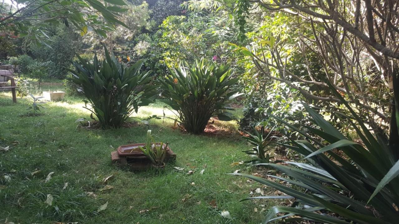 ניירובי The Cottage-Place Of Grace 2Bdrm And Loft Bed All 4U At Usd58 מראה חיצוני תמונה